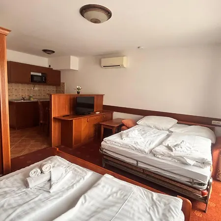 Apartmán Phoenix Spa Apartman House *