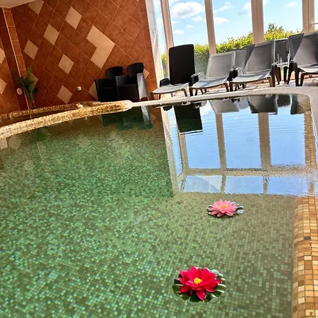 Phoenix Spa Apartman House * Hévíz