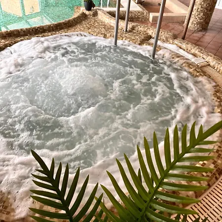 Phoenix Spa Apartman House Hévíz